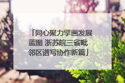 同心聚力擘画发展蓝图 浙苏皖三省毗邻区谱写协作新篇