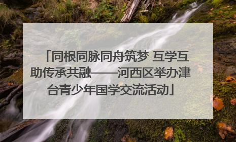 同根同脉同舟筑梦 互学互助传承共融——河西区举办津台青少年国学交流活动