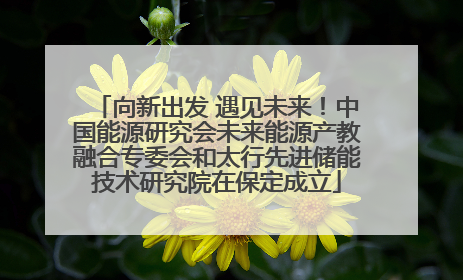向新出发 遇见未来！中国能源研究会未来能源产教融合专委会和太行先进储能技术研究院在保定成立