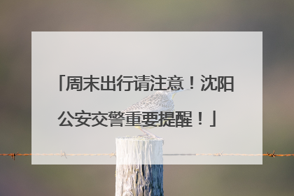 周末出行请注意！沈阳公安交警重要提醒！