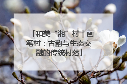 和美“湘”村｜画笔村：古韵与生态交融的传统村落