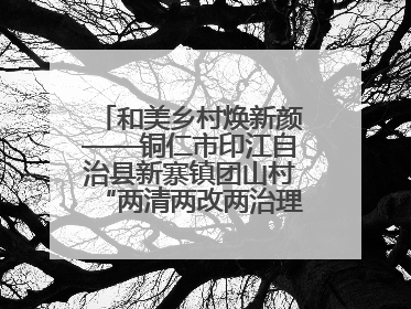 和美乡村焕新颜——铜仁市印江自治县新寨镇团山村“两清两改两治理”见闻