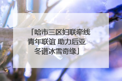 哈市三区妇联牵线青年联谊 助力后亚冬谱冰雪奇缘