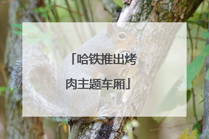 哈铁推出烤肉主题车厢