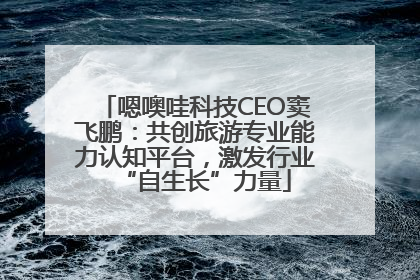 嗯噢哇科技CEO窦飞鹏：共创旅游专业能力认知平台，激发行业“自生长”力量
