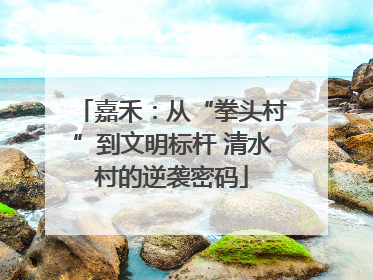 嘉禾：从“拳头村”到文明标杆 清水村的逆袭密码