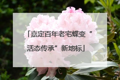嘉定百年老宅蝶变“活态传承”新地标