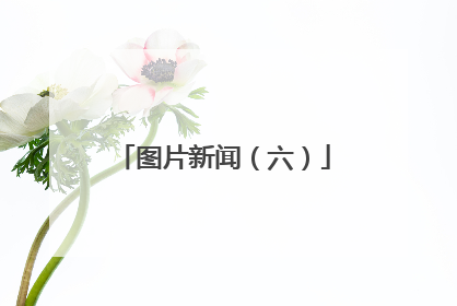 图片新闻（六）