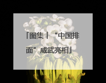 图集︱“中国排面”威武亮相
