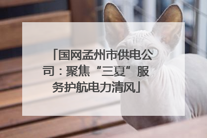 国网孟州市供电公司：聚焦“三夏”服务护航电力清风