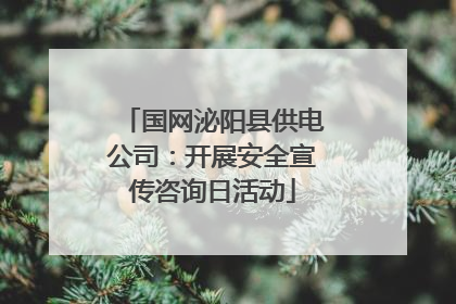 国网泌阳县供电公司：开展安全宣传咨询日活动