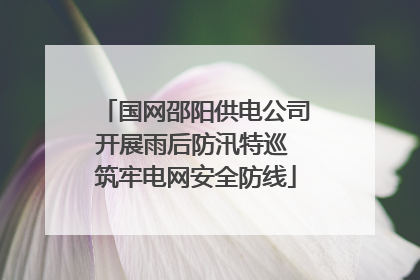 国网邵阳供电公司开展雨后防汛特巡 筑牢电网安全防线