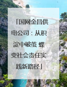 国网金昌供电公司：从积淀中破茧 蝶变社会责任实践新路径