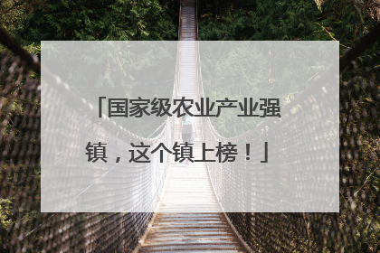 国家级农业产业强镇，这个镇上榜！