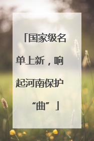 国家级名单上新，响起河南保护“曲”