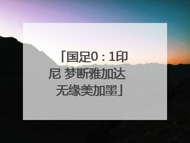 国足0∶1印尼 梦断雅加达 无缘美加墨