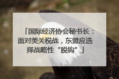 国际经济协会秘书长：面对美关税战，东盟应选择战略性“脱钩”