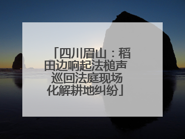 四川眉山：稻田边响起法槌声 巡回法庭现场化解耕地纠纷