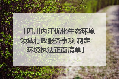 四川内江优化生态环境领域行政服务事项 制定环境执法正面清单