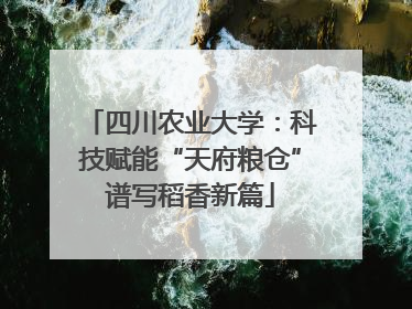 四川农业大学：科技赋能“天府粮仓”谱写稻香新篇