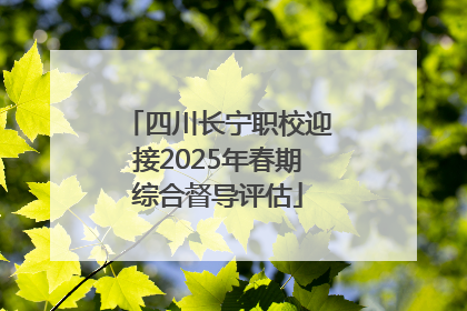四川长宁职校迎接2025年春期综合督导评估