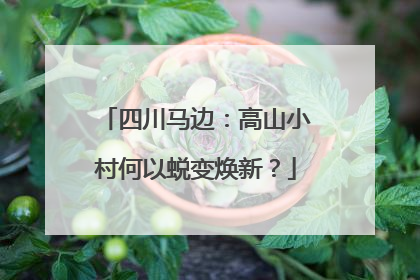 四川马边：高山小村何以蜕变焕新？