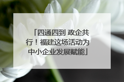 四通四到 政企共行！福建这场活动为中小企业发展赋能