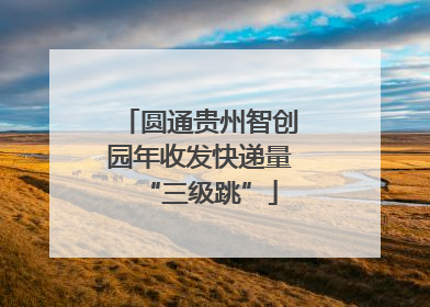 圆通贵州智创园年收发快递量“三级跳”
