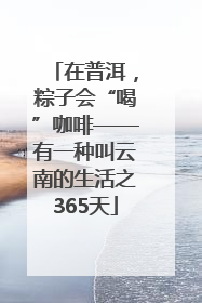 在普洱，粽子会“喝”咖啡——有一种叫云南的生活之365天