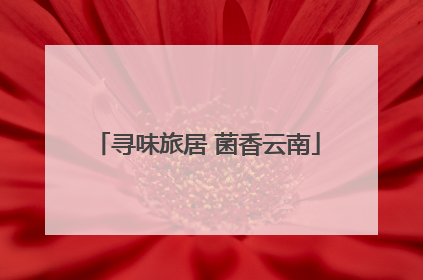 寻味旅居 菌香云南