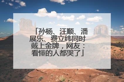 孙杨、汪顺、潘展乐、费立纬同时戴上金牌，网友：看懂的人都哭了