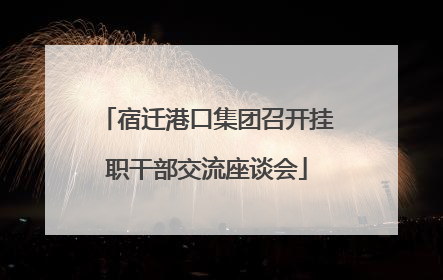 宿迁港口集团召开挂职干部交流座谈会