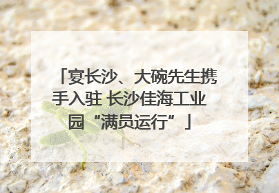 宴长沙、大碗先生携手入驻 长沙佳海工业园“满员运行”