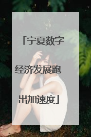 宁夏数字经济发展跑出加速度