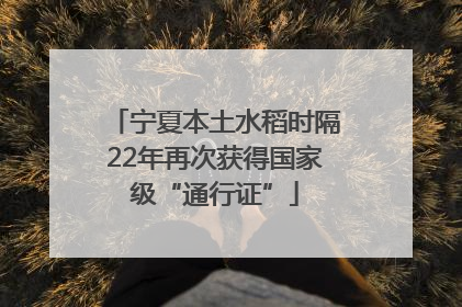 宁夏本土水稻时隔22年再次获得国家级“通行证”