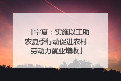 宁夏：实施以工助农夏季行动促进农村劳动力就业增收