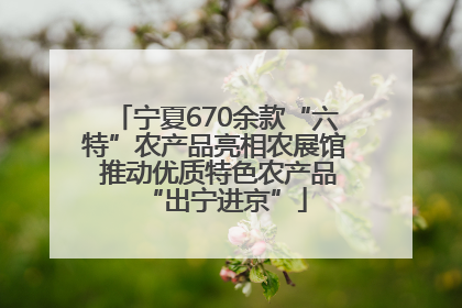 宁夏670余款“六特”农产品亮相农展馆 推动优质特色农产品“出宁进京”