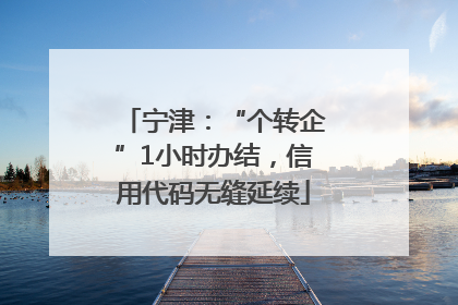 宁津：“个转企”1小时办结，信用代码无缝延续