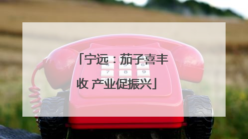 宁远：茄子喜丰收 产业促振兴