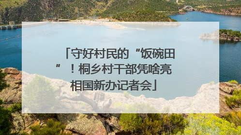 守好村民的“饭碗田”！桐乡村干部凭啥亮相国新办记者会