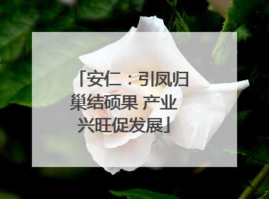 安仁：引凤归巢结硕果 产业兴旺促发展