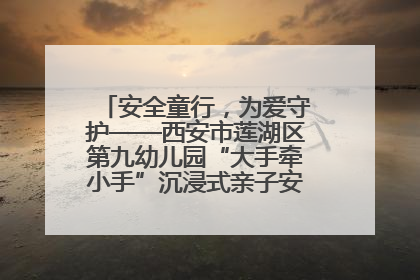 安全童行，为爱守护——西安市莲湖区第九幼儿园“大手牵小手”沉浸式亲子安全体验活动