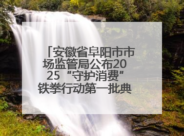 安徽省阜阳市市场监管局公布2025“守护消费”铁拳行动第一批典型案例