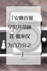 安徽首现罕见并蒂睡莲 概率仅为百万分之一
