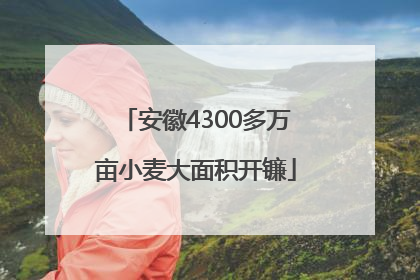 安徽4300多万亩小麦大面积开镰