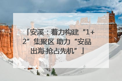 安溪：着力构建“1+2”集聚区 助力“安品出海·抢占先机”