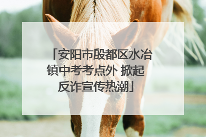 安阳市殷都区水冶镇中考考点外 掀起反诈宣传热潮