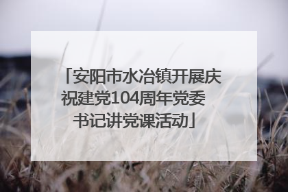 安阳市水冶镇开展庆祝建党104周年党委书记讲党课活动