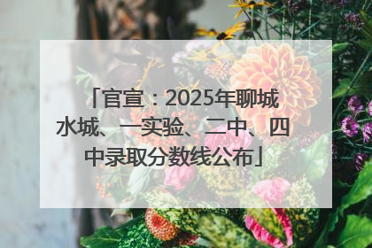 官宣：2025年聊城水城、一实验、二中、四中录取分数线公布