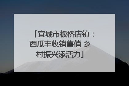 宜城市板桥店镇：西瓜丰收销售俏 乡村振兴添活力